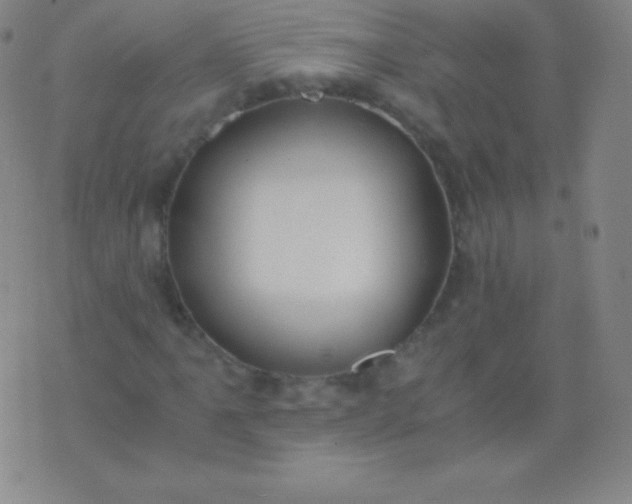 X0000076251061200610122200