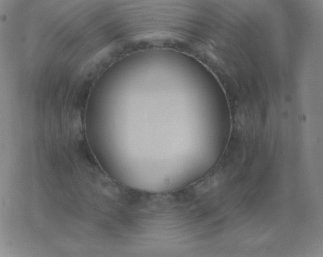 X0000076251062200610122159