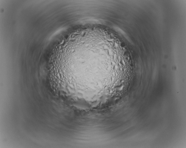 X0000076251063200610122159