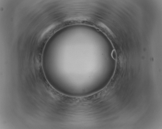 X0000076251064200610122159