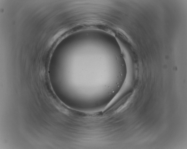 X0000076251065200610122159