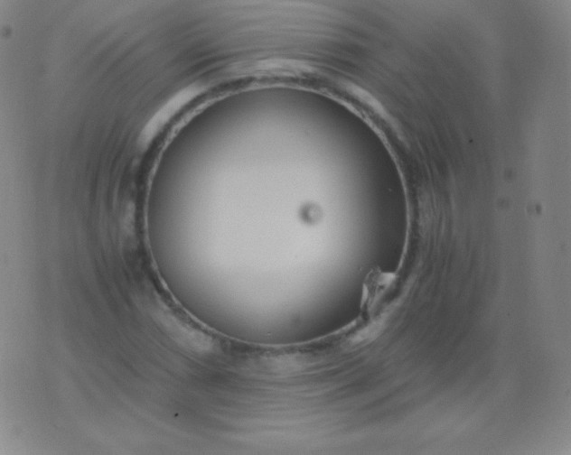 X0000076251066200610122159