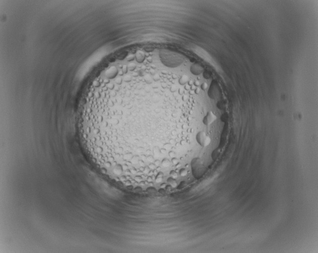 X0000076251067200610122159