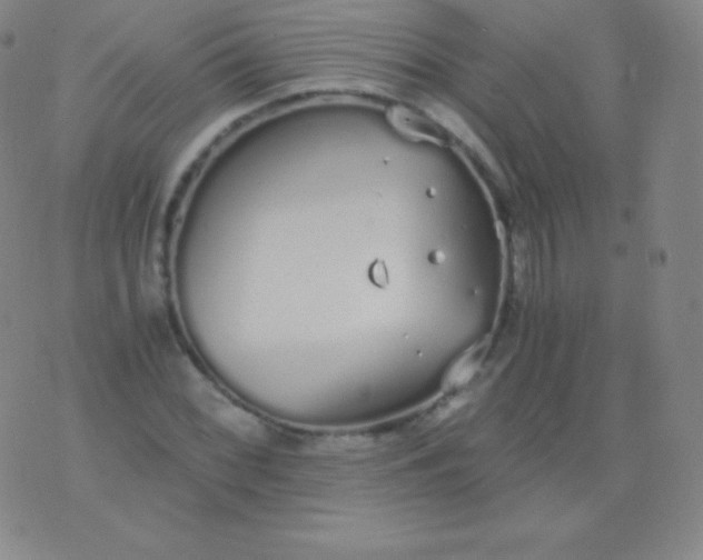 X0000076251068200610122159