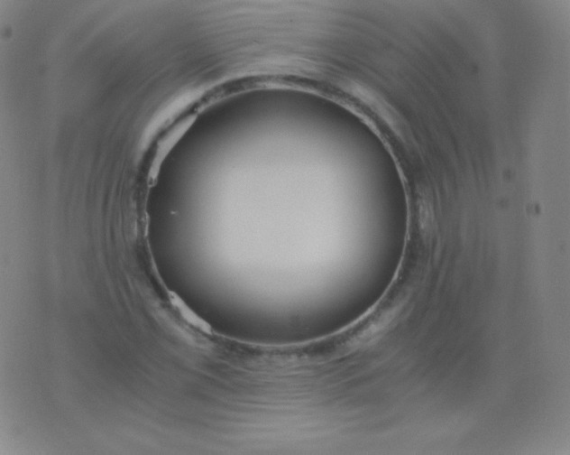 X0000076251069200610122159