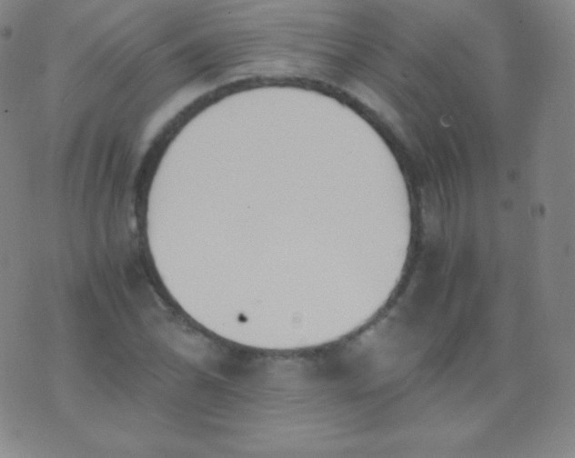 X0000076251070200610122159