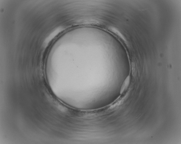 X0000076251071200610122159