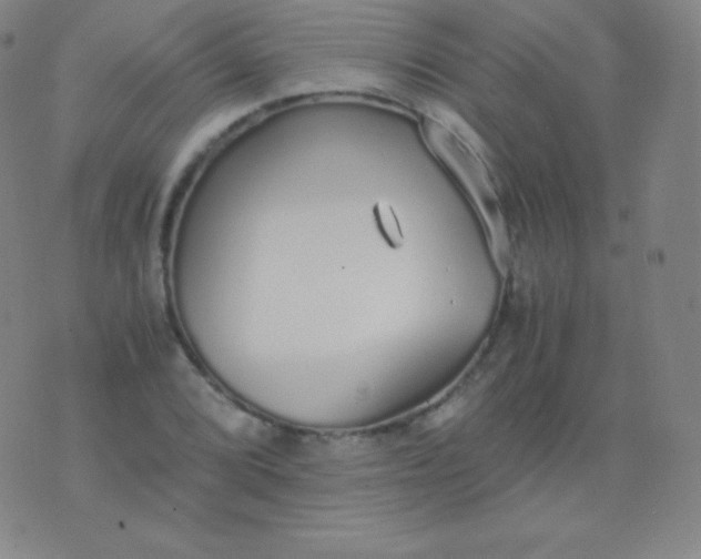 X0000076251072200610122159