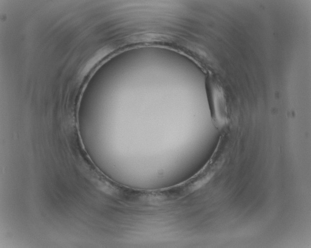 X0000076251073200610122159