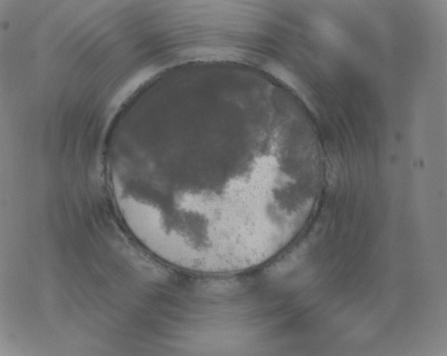 X0000076251074200610122159