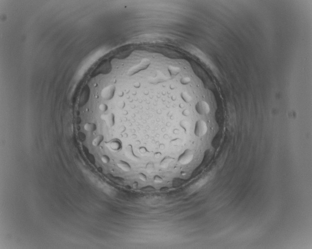 X0000076251075200610122159