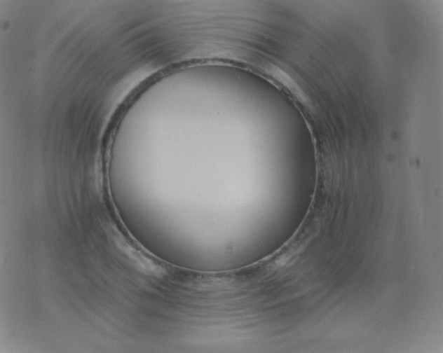 X0000076251076200610122159