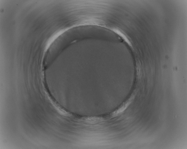 X0000076251077200610122159