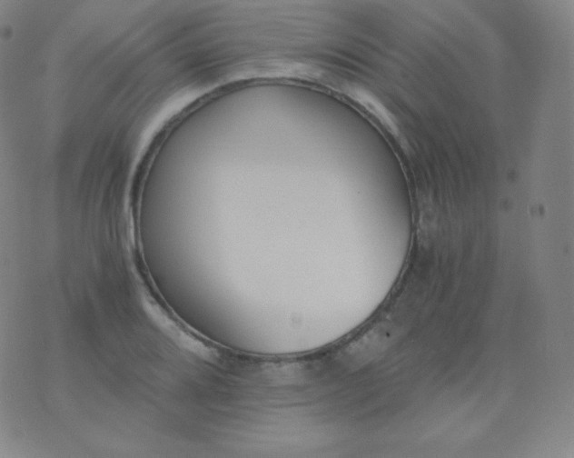 X0000076251080200610122159