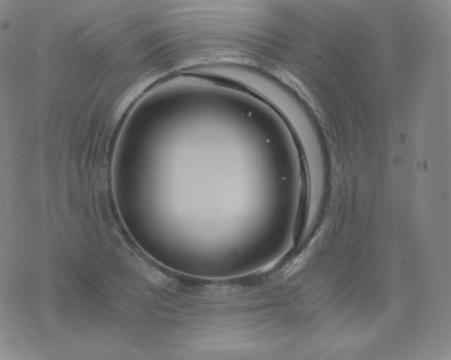 X0000076251081200610122159