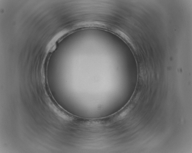 X0000076251082200610122159