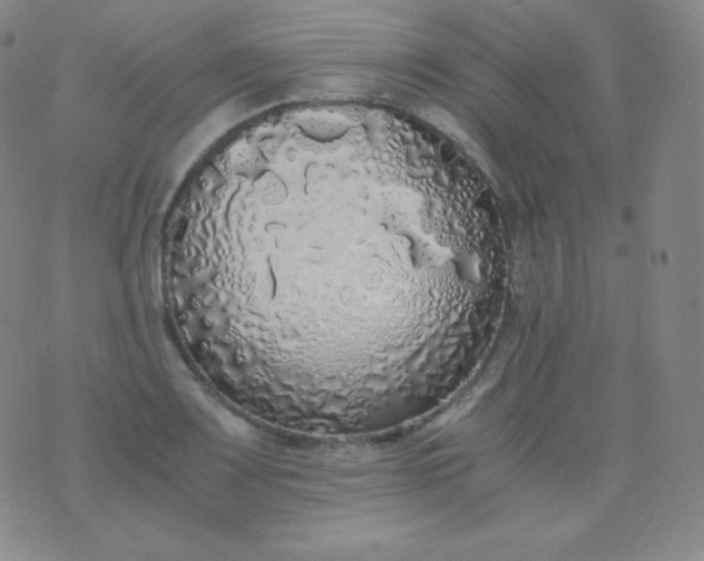 X0000076251083200610122159