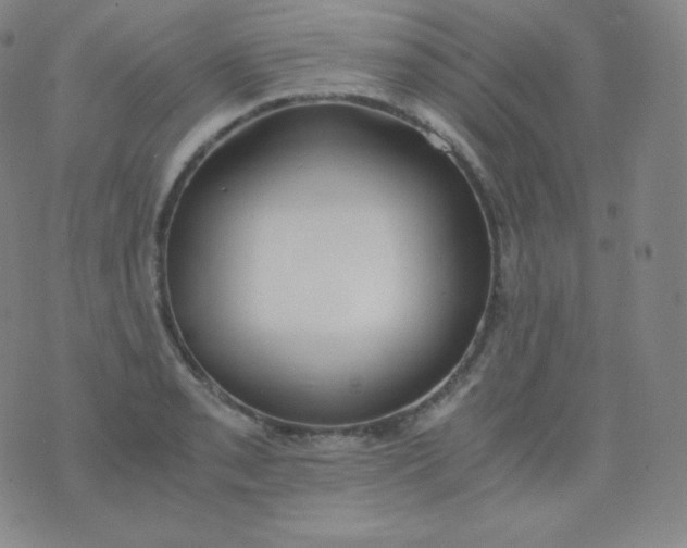 X0000076251085200610122159