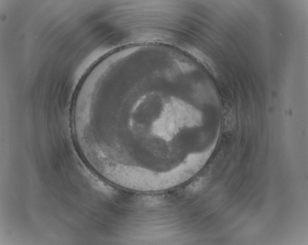 X0000076251086200610122159