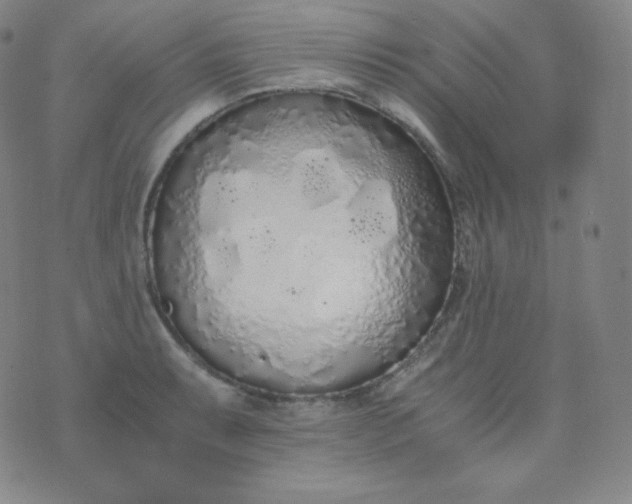 X0000076251087200610122159