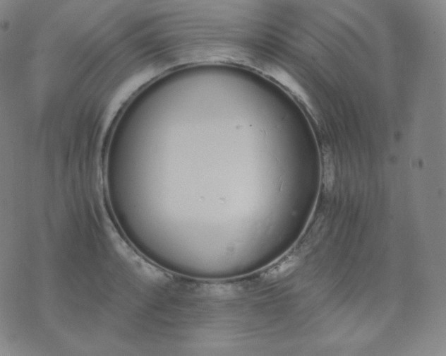 X0000076251088200610122159