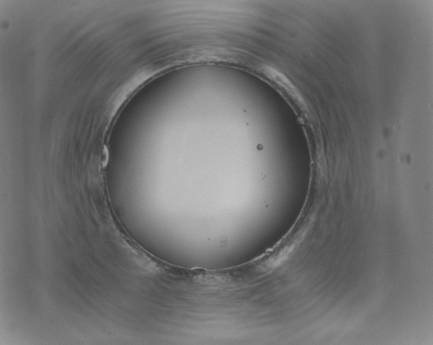 X0000076251089200610122159