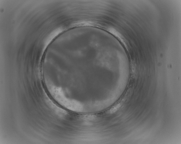 X0000076251090200610122159