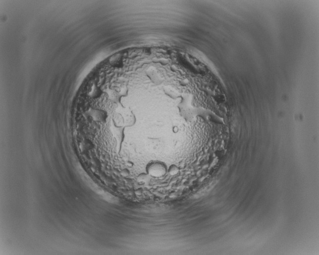 X0000076251091200610122159