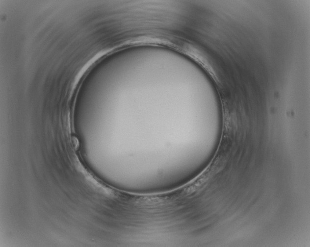 X0000076251092200610122159