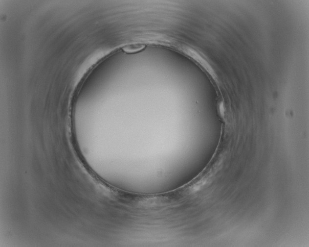 X0000076251093200610122159