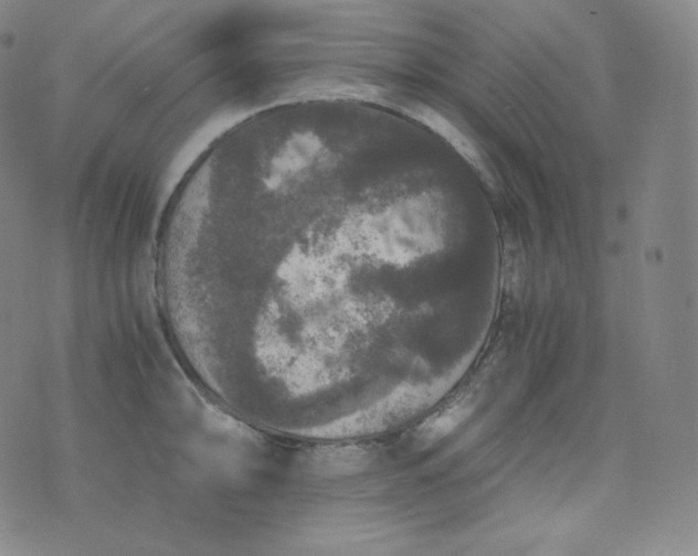 X0000076251094200610122159