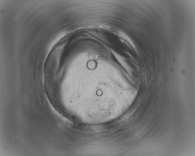 X0000076251095200610122159