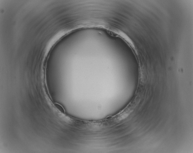 X0000076251096200610122159