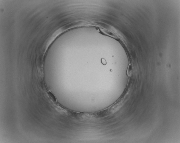 X0000076251097200610122159