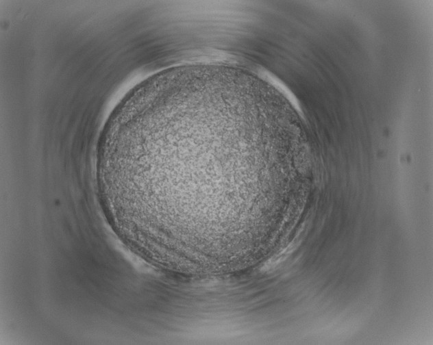 X0000076251099200610122159