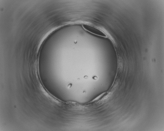 X0000076251100200610122159