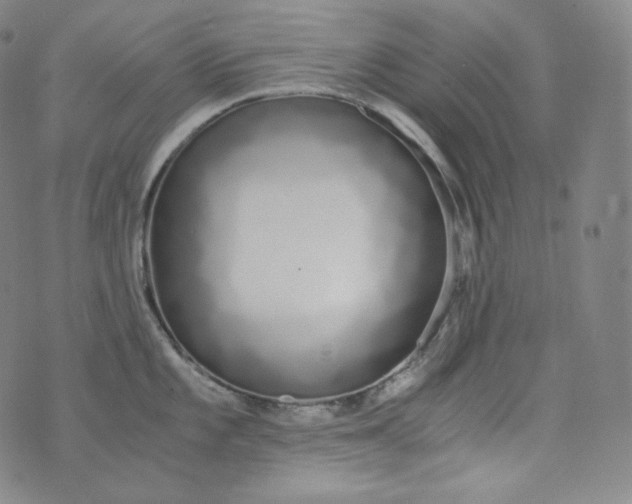 X0000076251101200610122159