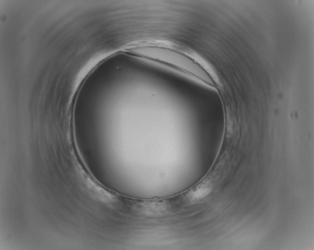 X0000076251102200610122159