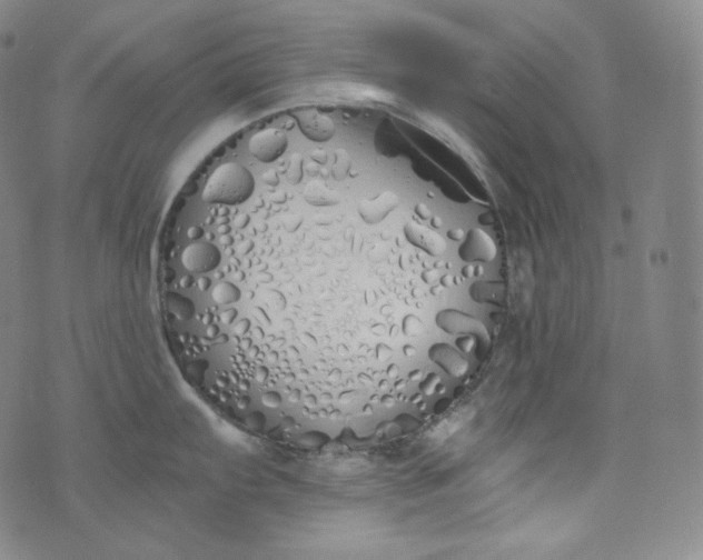 X0000076251103200610122159