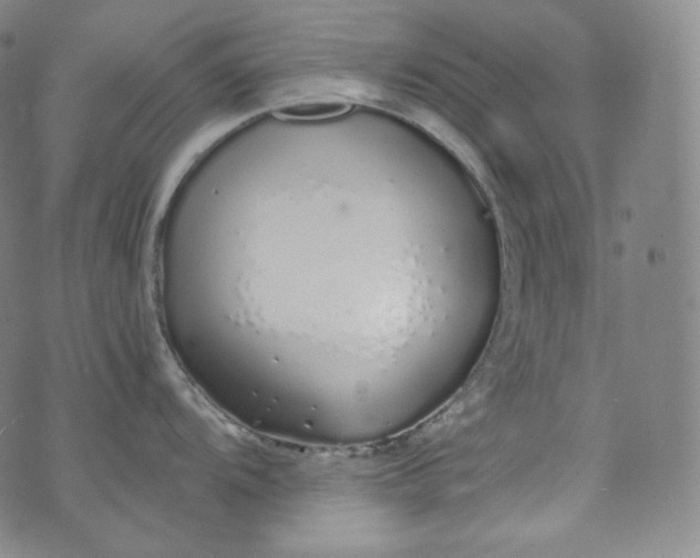 X0000076251104200610122159