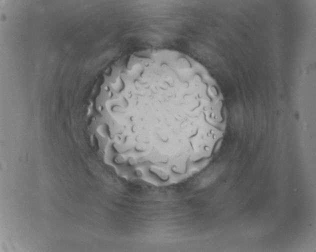 X0000076251105200610122158