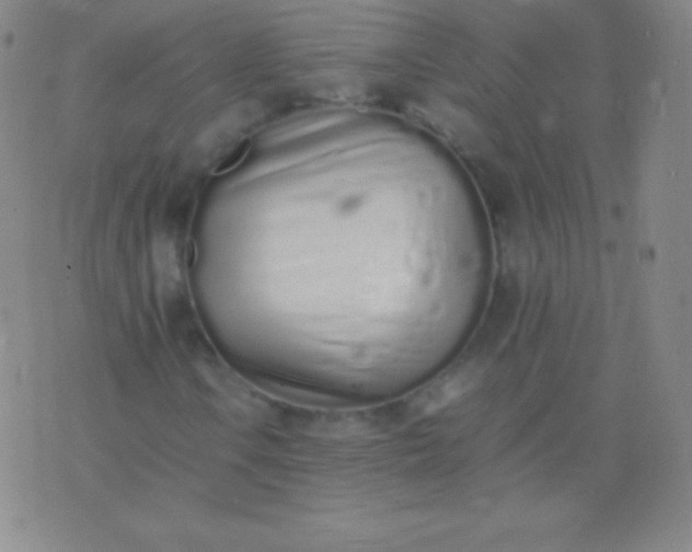 X0000076251106200610122158