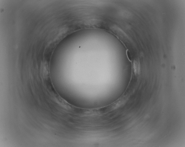 X0000076251107200610122158