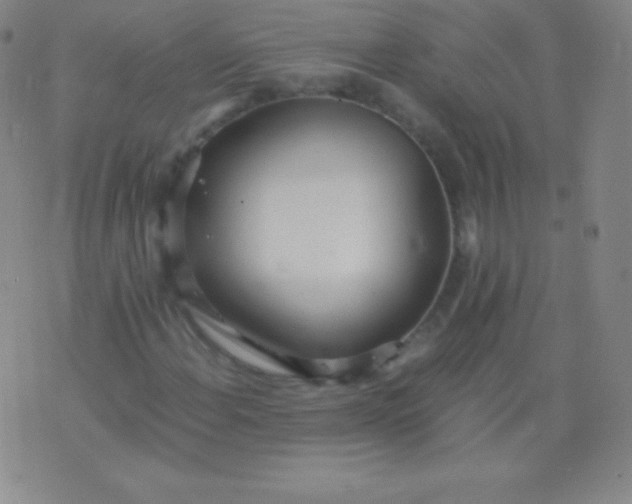 X0000076251108200610122158