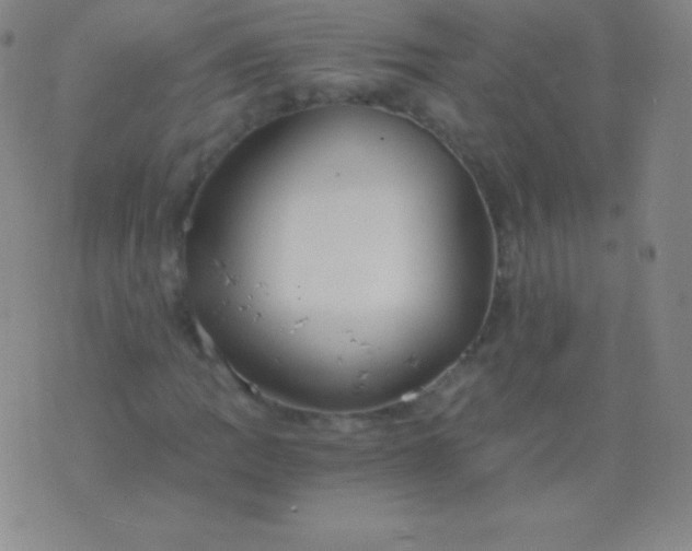 X0000076251109200610122158