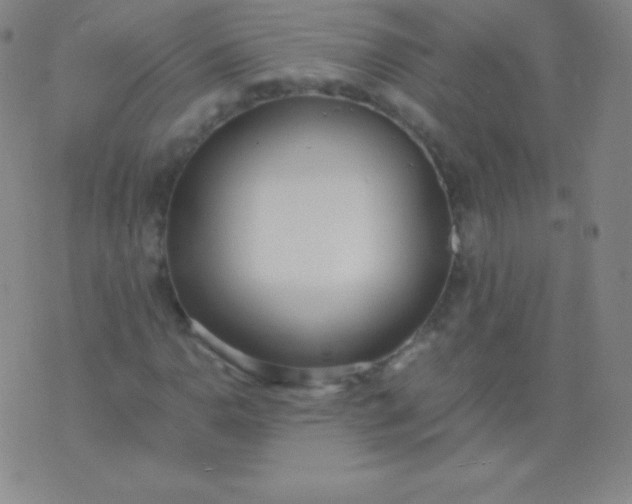 X0000076251110200610122158