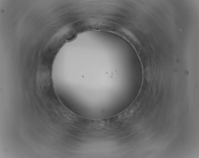 X0000076251111200610122158