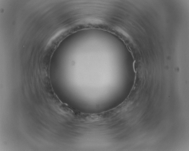 X0000076251112200610122158