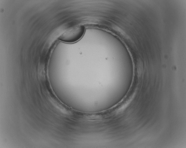 X0000076251113200610122158