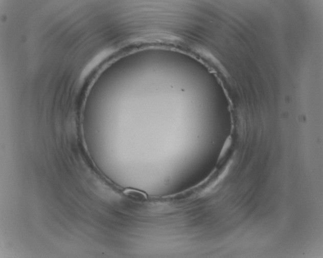 X0000076251114200610122158